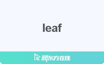 Leaf 中文
